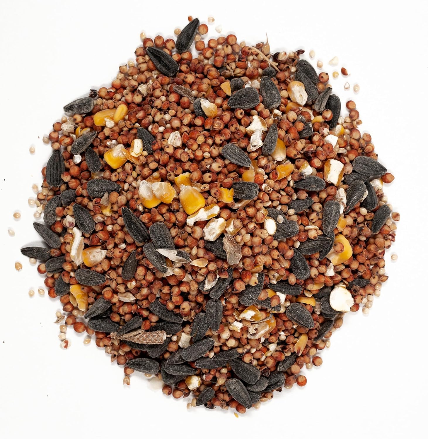 Wild Bird Food - Image 3