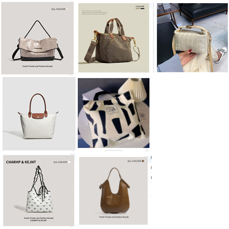 Assorted Women's Handbag Collection - Canvas Totes, Fashion Shoulder Bags, Mini Backpacks & Straw Bags for wholesale liquidation, Stylish & Durable Daily Purses. - Image 5